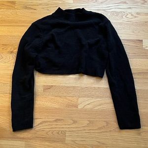 Cropped Turtleneck Sweater